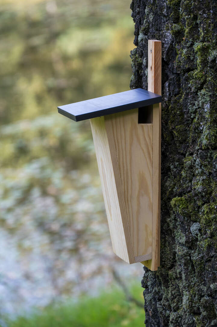 dobar Baumläufernistkasten